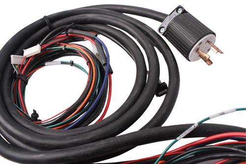 Potted Cable Harness with Automotive Connectors
