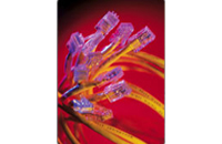 Connectors, Copper Cables, Fiber Optic Cables, Fiber Optic Products, Fans and Heat Sinks, Plastics and Molds, Power Supplies, Test Fixtures, Custom Design Services, Asian Manufacturing, Custom Overmolded Cables, Cypress Industries