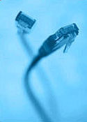 Networking Cables