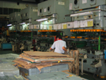 Progressive Die Stamping Line in China